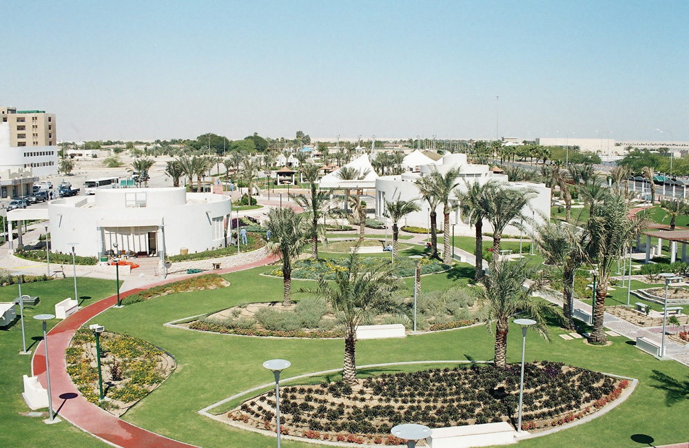 RAS LAFAN RLCI image 7