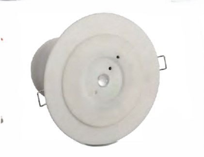 Bulkhead Emergency Light
